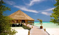 在一片充满快乐的氛围中，寻找一个积极的语句来形容这种愉悦感