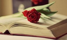 深情而感人的表白句子打动人心，让泪水亲切流淌