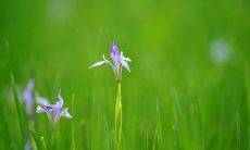 写亲情陪伴的唯美句子：表达家人之间亲密无间、深情厚爱、相互陪伴的感人语句