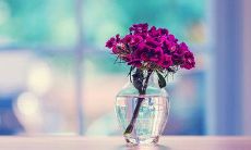 用唯美语言表达父母间深刻的亲情之情