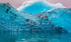 汇总一些关于感恩的至理名言，让我们感受到生命中那些被我们想当然地视为理所当然的事情值得多少感激和感恩