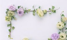 在文学作品中寻找温暖人心的友情之语