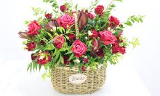 珍爱亲情友情，善谢恩德的感人语句