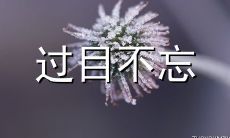 200个让人难忘的独特个性昵称，一份精选网名目录