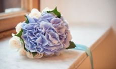 一些富有文艺风味、表达友情之深刻句子的集合