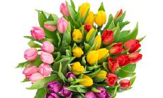 一些表达友情中孤独感的句子，思考人际关系和情感孤独的影响和意义