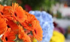 怀念家乡的心情，让人流连忘返：20句出门在外想家的说说