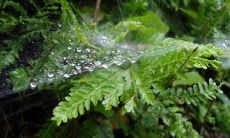 抒发春雨美妙的文学作品，展现连绵不断的春雨之美的古典诗歌精华