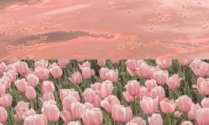 关注气温下降带来的影响，以及如何应对寒冷天气的建议