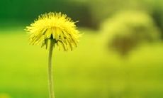 超级全面的早上问候语短信合集，涵盖各种场景和情感表达！