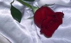 超级感人的、充满浪漫情怀的唯美爱情语录短句，让你的心灵深深被触动！