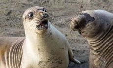 如何用幽默风趣的句子让人眼前一亮？