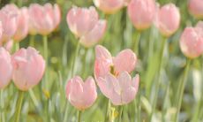 收藏或分享朋友圈的最佳选择：45个绝妙短句供你选择！