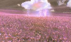 深刻而有内涵的爱情句子：言简意赅的表达深情，感人至深的言辞打动心灵