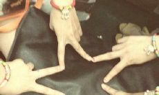 持久友情的经典句子：纵使时过境迁，你我情谊永不凋零！