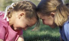 探讨友情抱团取暖的假象及其被揭露的讽刺之语