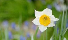 深入探索友情与成长之路：感悟友情、启示生命的精妙句子