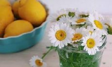 如何使用积极阳光的语言表达并实现个人幸福和快乐状态？