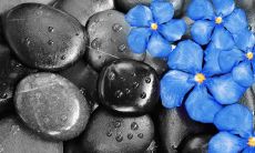 简单到极致的亲情，不值一提的话语——再思考亲情的真正价值