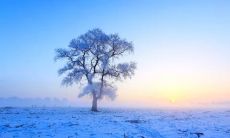 收集了各种冬季养生问候语的详尽指南：短信，祝福和公共消息！