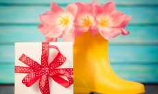 如何用英语短信问候对方？