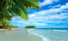 一个关于在夏日向女友发问候短信的探究：表达真挚情感的最佳方式！