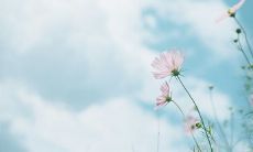 渴望宁静，想暂别工作繁忙的疲惫感