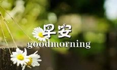 如何给你的女友发送每一天早晨的美好问候短信？