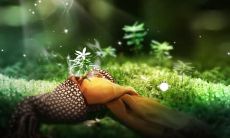 经历缘起缘落，无法避免命运的安排