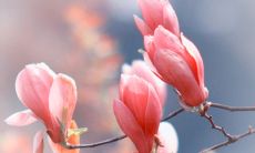 当内心宁静时书写的带有忧伤情感的句子