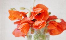 通过本文提供的方法，您一定可以写出能够上热门的句子！