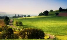 发掘亲情主题的美丽句子：令人动容的家庭情感表达