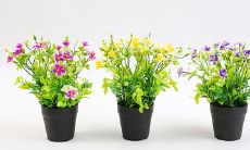 分享一些突如其来让人欢喜的句子！