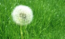 寂寞无依的心情表达：我感到孤单、无人相伴并且不开心