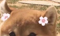 用非传统语言促进幸福感的独特句子激励人们感到开心