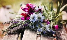 万能句子：探讨亲情的影评中的不可或缺元素