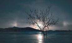 从不同角度诠释生命意义的唯美语句精选汇总