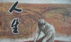 忘记过去：探索生活最高境界的感悟与思考