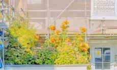 开心是人生最重要的信念：探究人们在追求快乐上的重要性和关键句子