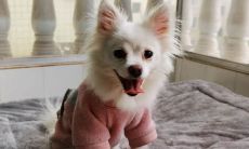 欢乐的六一儿童节，欣喜的童心愉悦难忘的时光：充满喜悦的六一儿童节开心句子集锦