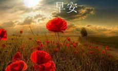 如何写出一个有趣并令人欢笑的早安问候短信 ~，打破早晨的沉寂，成为精神上的鸡汤~ ？