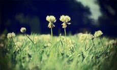 探究亲情杂志中充满优美句子的世界，表达深情厚爱的情感，打造温暖的家庭氛围！