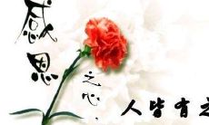 一些令人感恩的话语，来表达对生活和人们的深情感谢