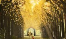 分享快乐与幸福的句子和心情短语，给你的生活添加更多的愉悦和欢乐！