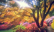 让我们激动的迎接春天的来临，分享一些充满快乐的春天句子，让你心情愉悦，快乐开朗！