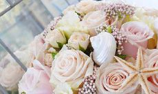 Heartfelt Sentences of Gratitude for the Fortunate Encounter in English