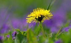 带着愉悦和笑声的祝愿，愿您度过每一天都充满快乐和幸福的美好时光