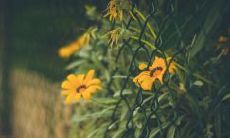 展现之美：充满温馨与感动的明信片上的亲情唯美句子