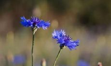 在离别时留下珍重的告别话，语言简洁却意义深远