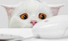 享受美好生活的秘诀：运用正能量短句，让心灵健康快乐！